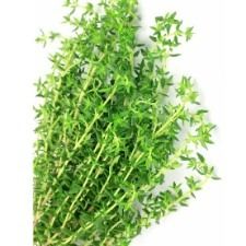 Thyme, 100 G